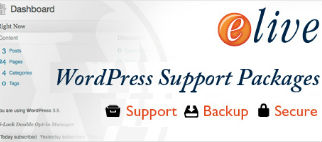 Wordpress Support Packages